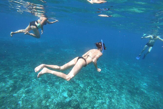 Cozumel Snorkeling Experience! El Cielo Reef from Cancun & Playa del Carmen - Final Thoughts