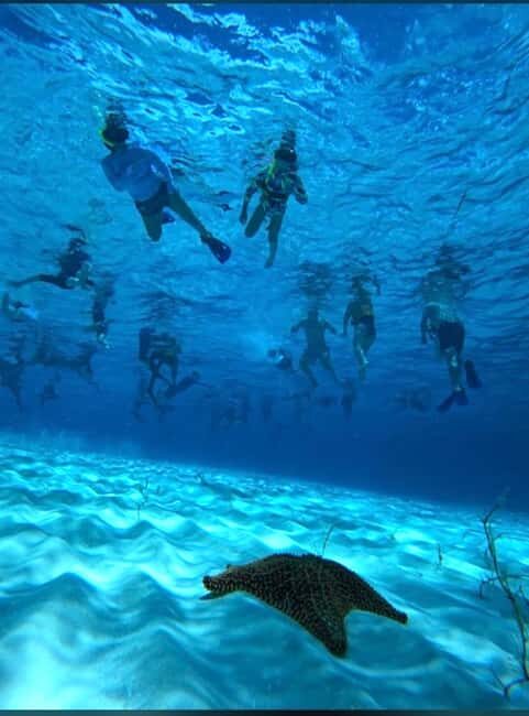 Cozumel: snorkeling on reefs + visit to "El Cielo" - Key Points