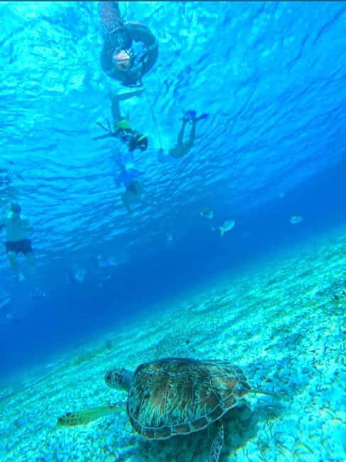 Cozumel: snorkeling on reefs + visit to "El Cielo" - An In-Depth Look at the Cozumel Snorkeling Tour