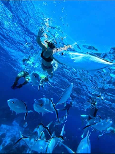 Cozumel: snorkeling on reefs + visit to "El Cielo" - Who Is This Tour Best For?