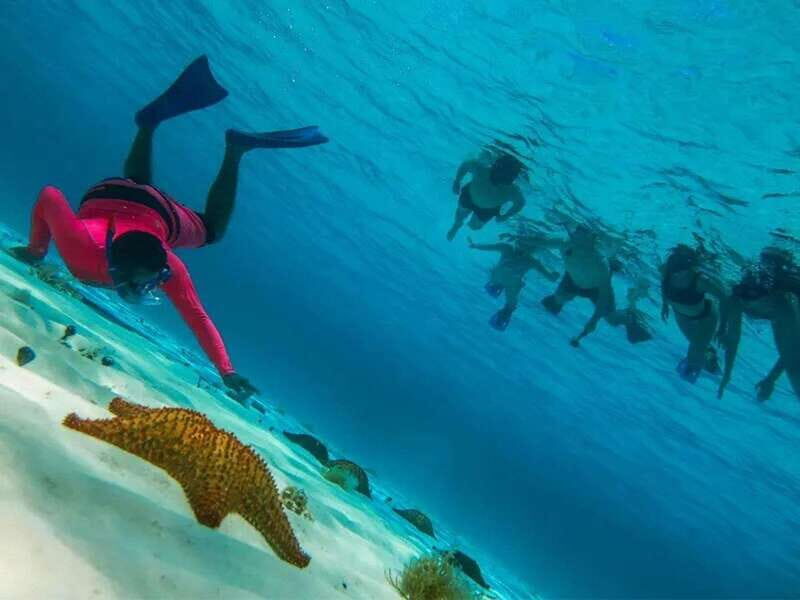 Cozumel: snorkeling on reefs + visit to "El Cielo" - FAQs