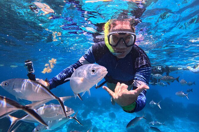 Cozumel Snorkeling Reef Experience with Ceviche and Beers - Key Points