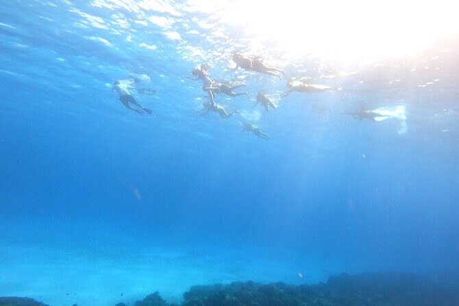 Cozumel Snorkeling Reef Experience with Ceviche and Beers - Value and Pricing