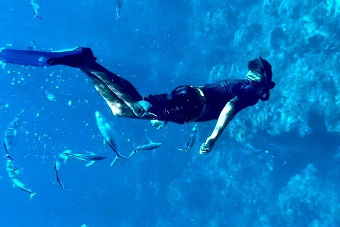 Cozumel Snorkeling Reef Experience with Ceviche and Beers - The Reviews Tell the Story