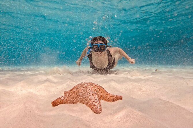 Cozumel Snorkeling to Palancar & El Cielo with drinks & Snack - The Itinerary in Detail