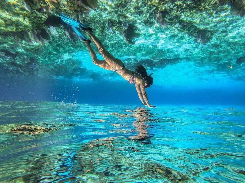 Cozumel: Snorkeling Tour at El Cielo Beach - An In-Depth Look at the Snorkeling Tour at El Cielo Beach
