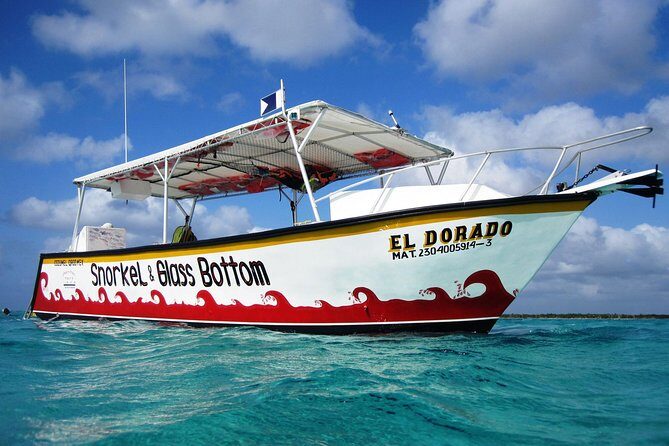 Cozumel Snorkeling Tour at Palancar & Colombia Reefs and El Cielo - Who Will Enjoy This Tour?