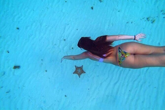 Cozumel Snorkeling Tour: Palancar, Columbia and El Cielo Reefs - Possible Drawbacks or Considerations