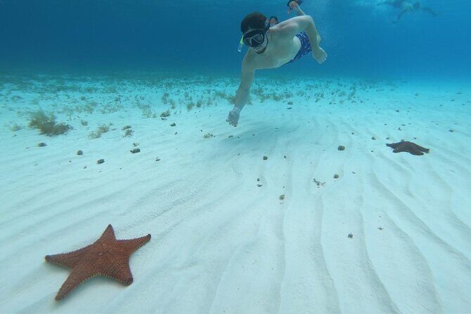 Cozumel Snorkeling Tour: Palancar, Columbia and El Cielo Reefs - Who Would Love This Tour?