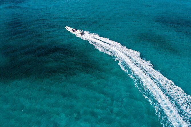 Cozumel Starfish and Tropical Reef Snorkeling by Powerboat with Lunch - What’s Included and What’s Not