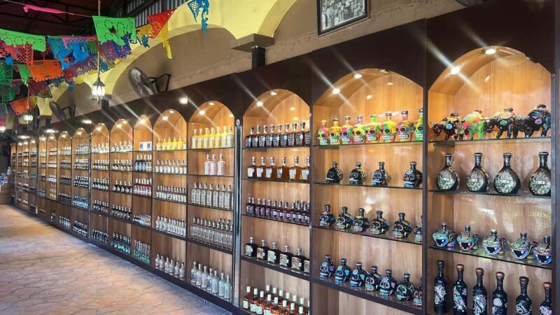 Cozumel: Tequila, Mezcal and Espadrilles Experience Tour - The Sum Up: A Solid Introduction to Cozumel’s Culture