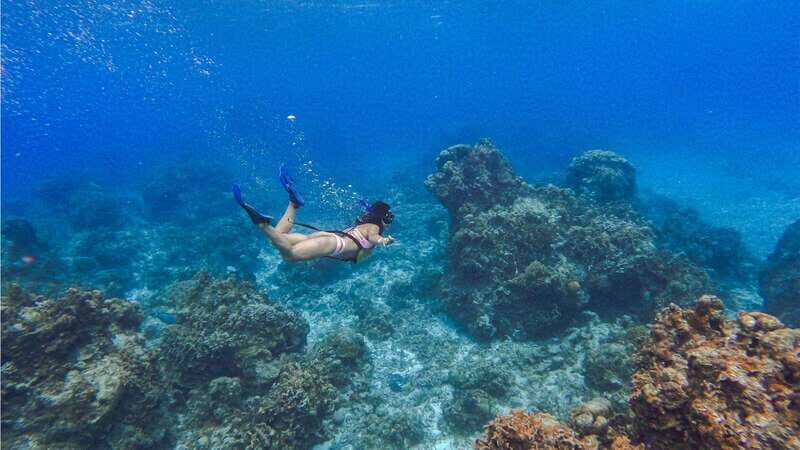 Cozumel: Transparent bottom boat tour and snorkeling activity. - Authentic Experiences and Guest Feedback