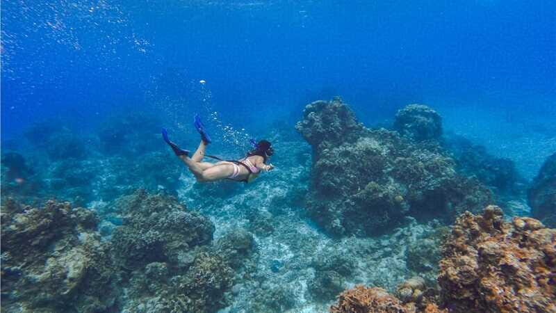 Cozumel: Transparent bottom boat tour and snorkeling activity. - FAQ
