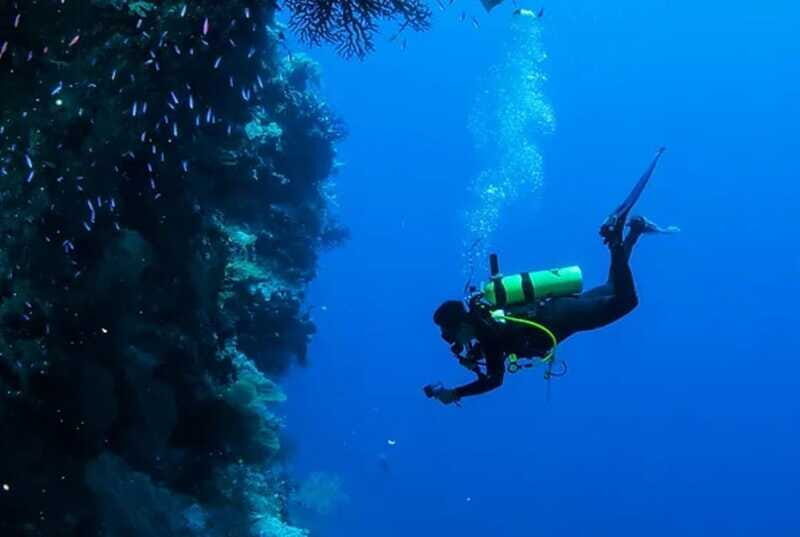 Cozumel: Twilight and Night Dive for Certified Divers - What Reviewers Say