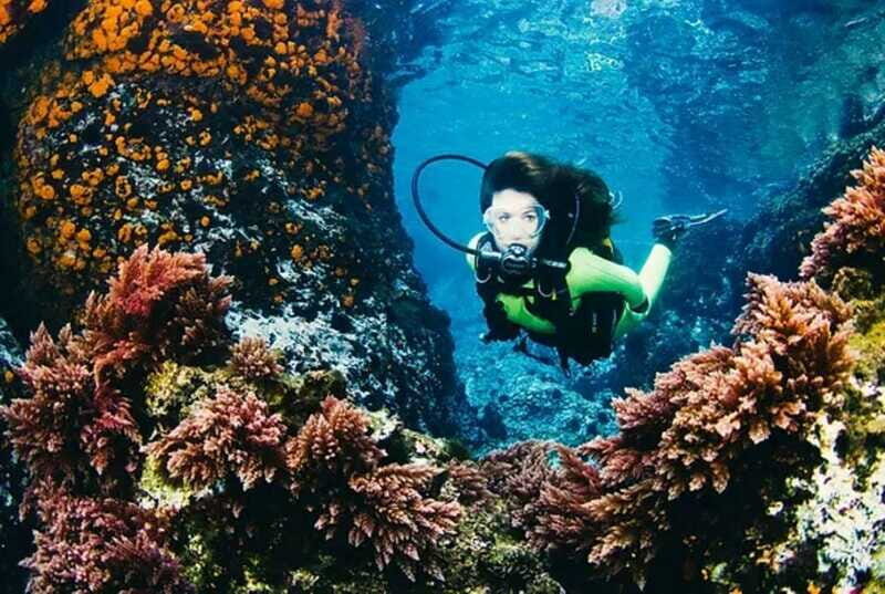 Cozumel: Twilight and Night Dive for Certified Divers - FAQ