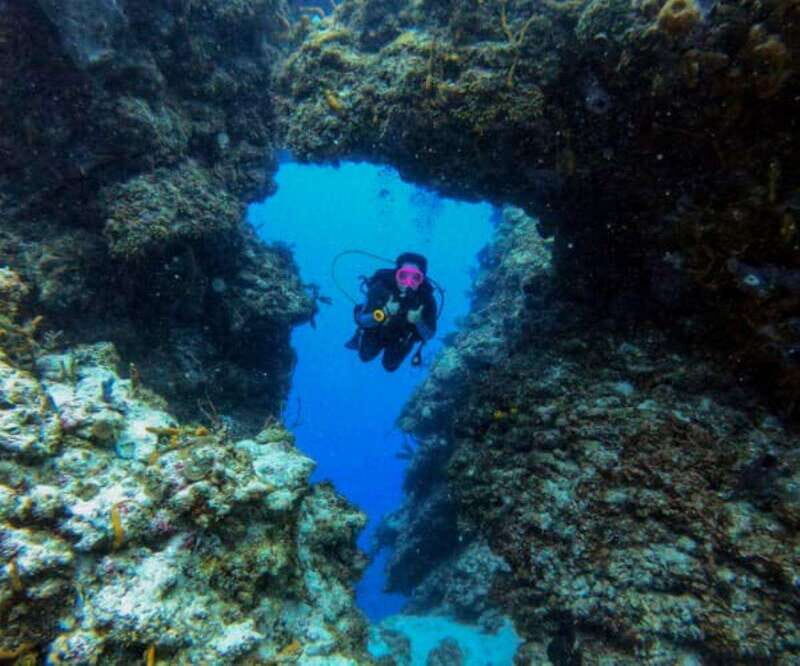 Cozumel: Two reef dives in Marine Park, certified divers - Discovering Cozumel’s Underwater Wonders