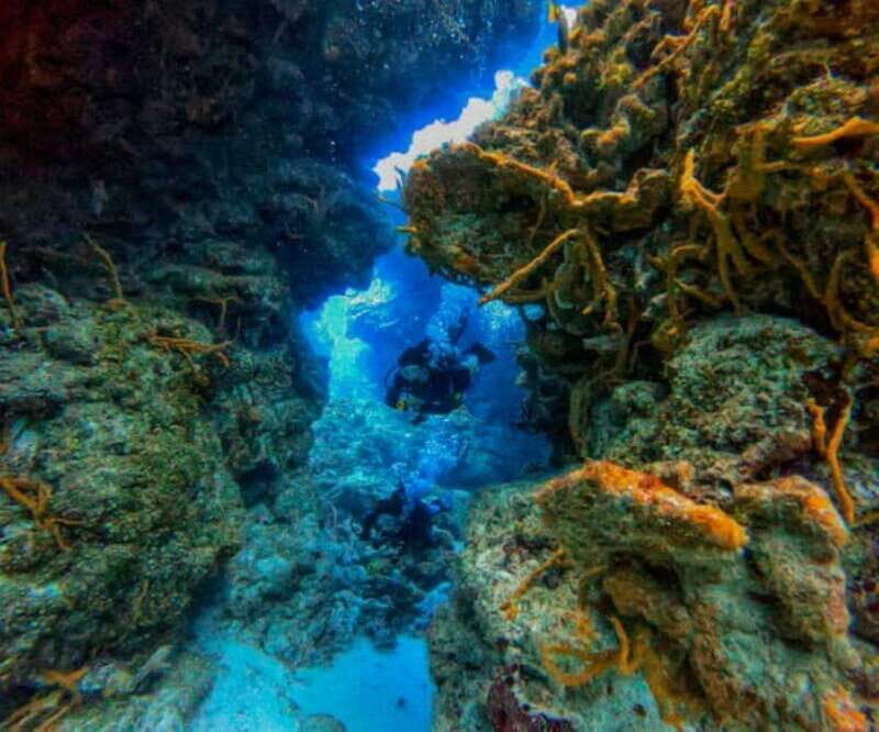 Cozumel: Two reef dives in Marine Park, certified divers - FAQ