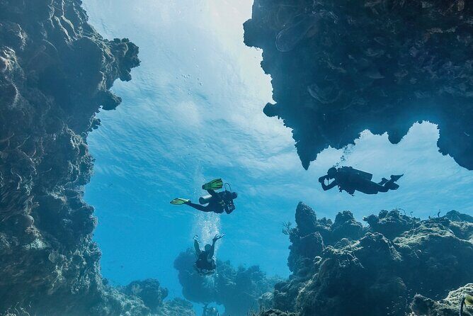 Cozumel underwater 2 Tank Dive by boat - Why This Tour Offers Solid Value