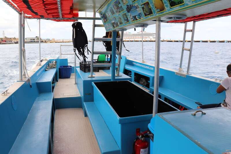 Cozumel: VIP Glass Bottom Boat & Snorkeling 3 Reefs Tour - Key Points