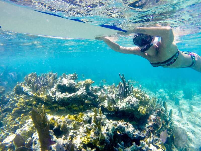 Cozumel: West Coast E-Bike and Snorkeling Tour - An In-Depth Look at the Experience