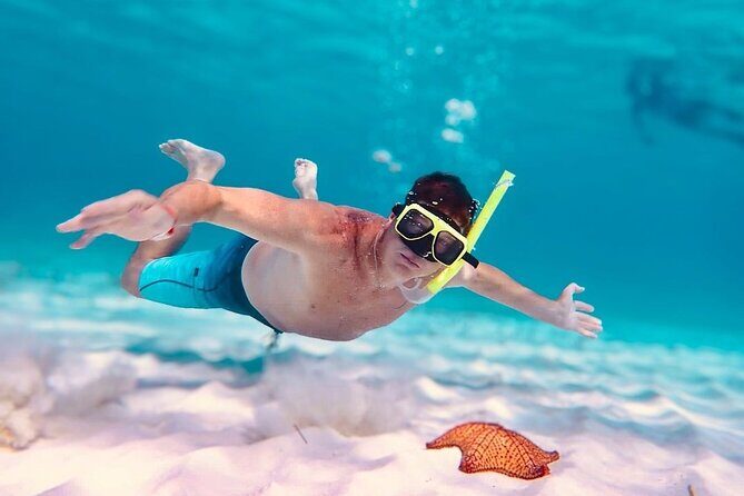 Cozumel's Best: Snorkel Adventure in El Cielo and El Cielito - An In-Depth Look at the Tour Experience
