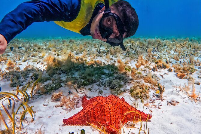 Cozumel's Reefs in El Cielo, Palancar and Columbia Guided Tour - Key Points