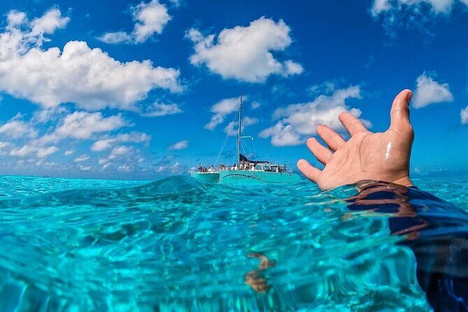 Cozumel's Reefs in El Cielo, Palancar and Columbia Guided Tour - A Closer Look at the Tour Experience