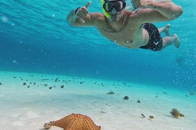 Cozumel's Reefs in El Cielo, Palancar and Columbia Guided Tour - Is This Tour Worth It?