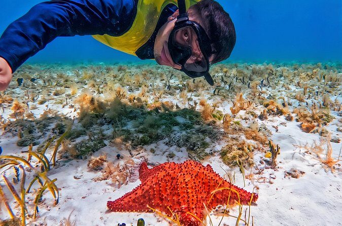 Cozumel's Reefs in El Cielo, Palancar and Columbia Guided Tour - FAQs