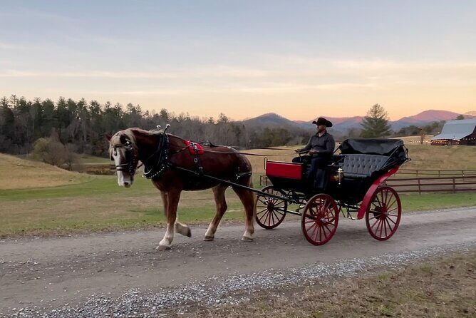 Cozy Farm Experience with Wagon Wheels and Acoustic Meal - Final Thoughts