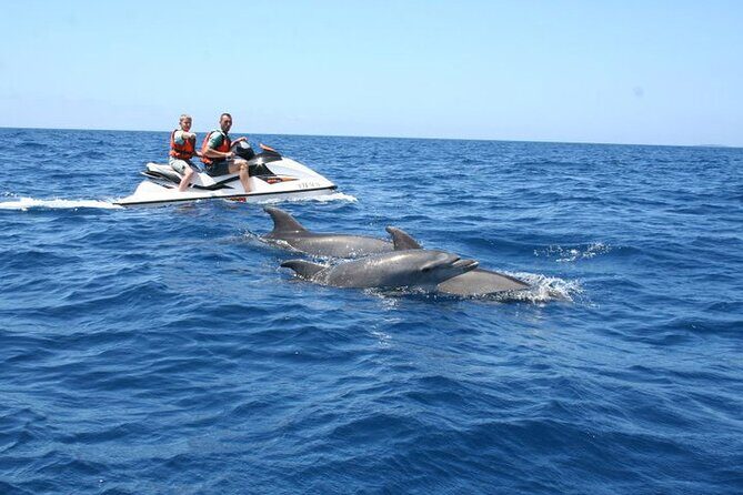 Crab Island Dolphin Jet Ski Adventure - Key Points