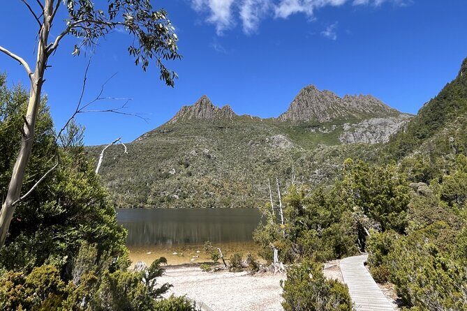 Cradle Mountain Day Tour: Dove Lake Guided Hike with Lunch - The Journey to Cradle Mountain: What to Expect