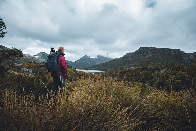Cradle Mountain Half Day Dove Lake Guided Tour with Lunch - Key Points