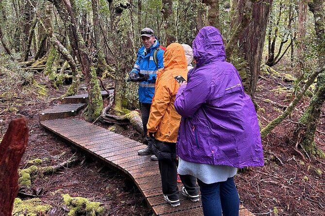 Cradle Mountain Half Day Dove Lake Guided Tour with Lunch - The Reviews: What Others Say