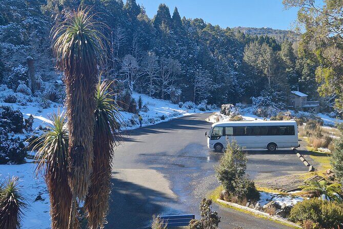 Cradle Mountain Half Day Park Explorer Tour with Lunch - A Practical Guide to the Cradle Mountain Park Explorer Tour