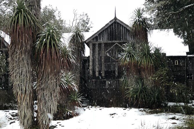 Cradle Mountain Half Day Park Explorer Tour with Lunch - Why You’ll Appreciate This Tour