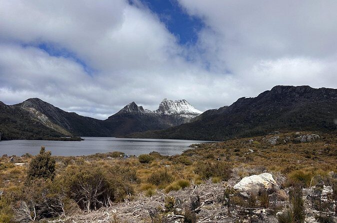 Cradle Mountain Half Day Park Explorer Tour with Lunch - Potential Drawbacks and Considerations