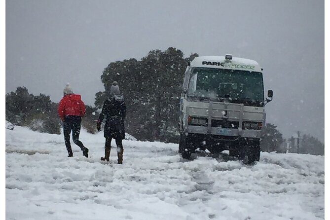 Cradle Mountain Half Day Park Explorer Tour with Lunch - Who Should Consider This Tour?