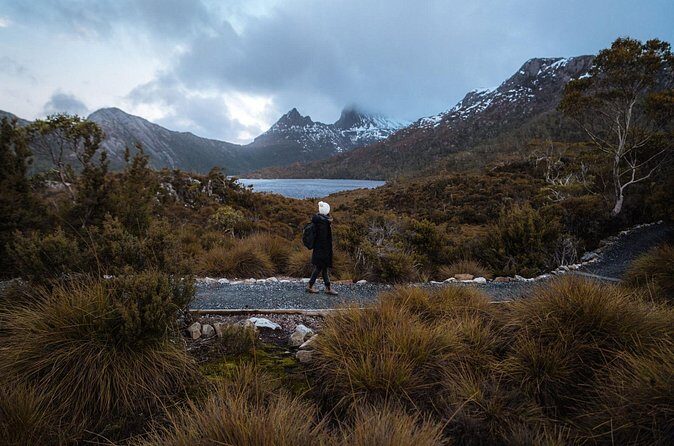Cradle Mountain Half Day Park Explorer Tour with Lunch - The Sum Up: Is This Tour Worth Your Time?
