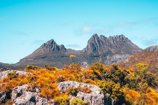 Cradle Mountain National Park Day Tour from Launceston - An In-Depth Look at the Tour Experience