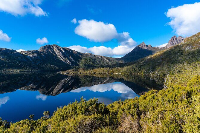 Cradle Mountain National Park Day Tour from Launceston - The Sum Up