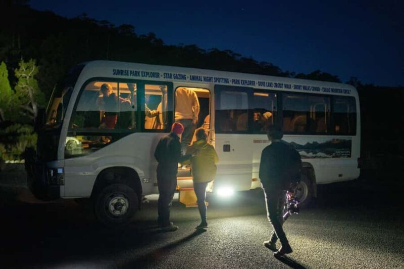 Cradle Mountain Wildlife Spotting after Dark - How Does It Compare to Similar Experiences?