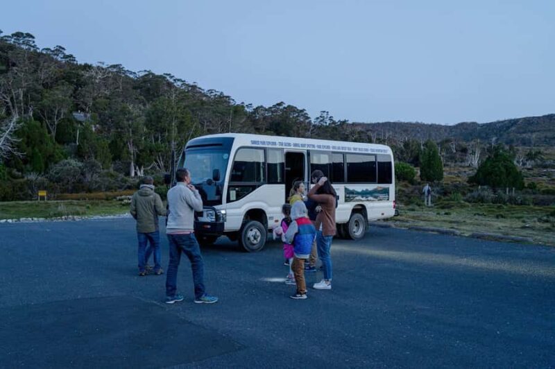 Cradle Mountain Wildlife Spotting after Dark - Who Would Enjoy This Tour?