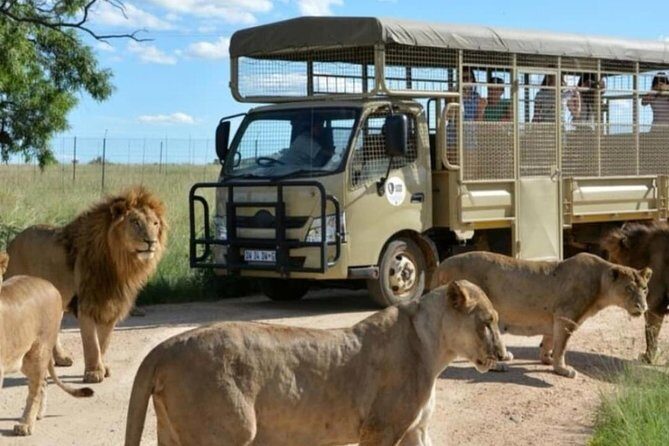 Cradle of Human Kind & Lion & Rhino Park Tour Full day Tour Private - A closer look at the itinerary