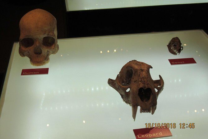 Cradle of Human Kind Tour and Lesedi Cultural Village Day Tour - Practical Considerations