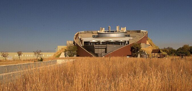 Cradle of Humankind Tour with Lion Safari from Johannesburg - Introduction