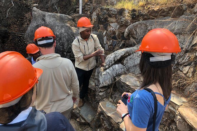 Cradle of Humankind Tour with Lion Safari from Johannesburg - The Itinerary in Detail