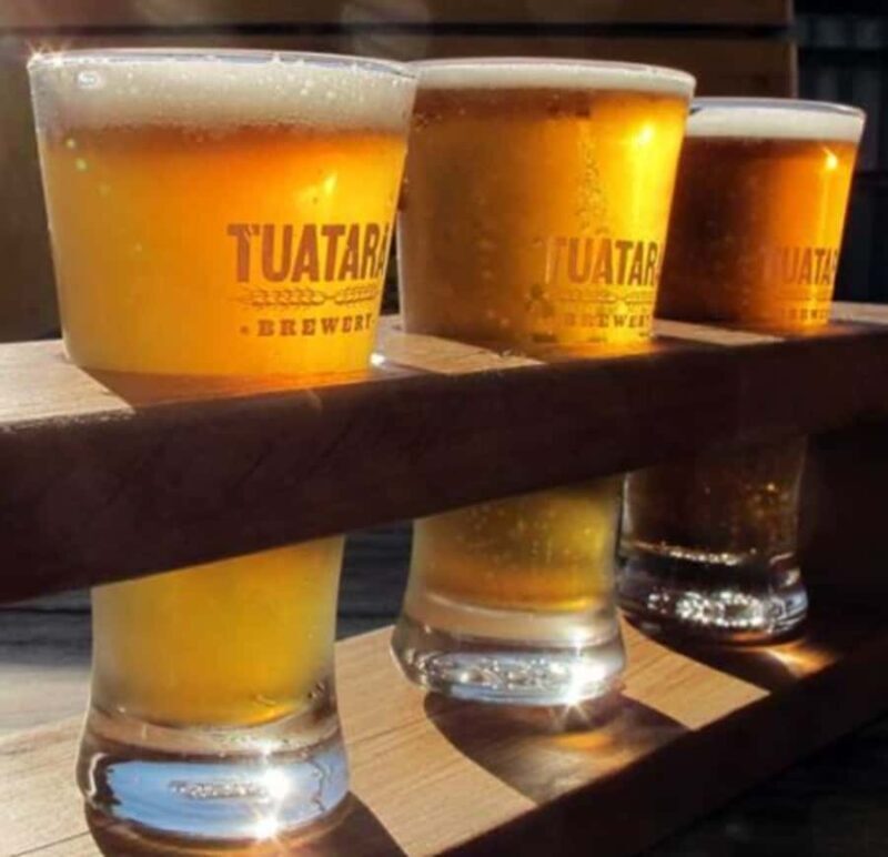 Craft beers & car museum - Half Day Tour - Introduction
