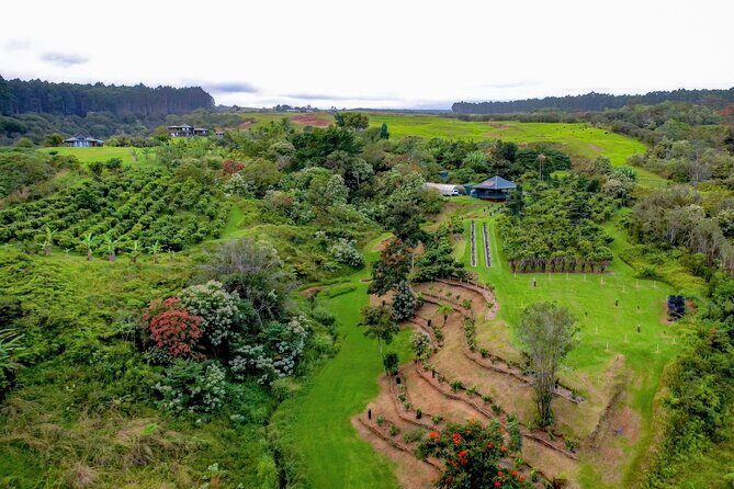 Craft Chocolate Tasting and Farm Experience on the Big Island - Why It’s Worth the Cost