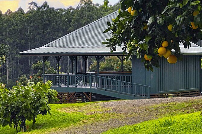 Craft Chocolate Tasting and Farm Experience on the Big Island - Details That Make a Difference
